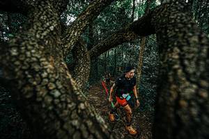 BIB: 
                            <button type="button" onclick="openModal(25393591)" class="btn btn-primary btn-sm float-right btn-popup" data-toggle="modal" data-target=".modal-high-quality">
                        <i class="fas fa-shopping-cart"></i> Add to Cart
                    </button>
                                            <button type="button" onclick="isThisMe(25393591, true)" class="btn btn-success btn-sm float-right btn-popup btn-isme hidden" data-toggle="tooltip" data-placement="bottom" title="นี่คือรูปของคุณใช่ไหม คลิกที่นี่เพื่อเอาเข้าอัลบั้ม">
                        <i class="fas fa-plus"></i> Add to album
                    </button>
                    <button type="button" onclick="isThisMe(25393591, false)" class="btn btn-warning btn-sm float-right btn-popup btn-isnotme hidden">
                        <i class="fas fa-ban"></i> Remove from album
                    </button>